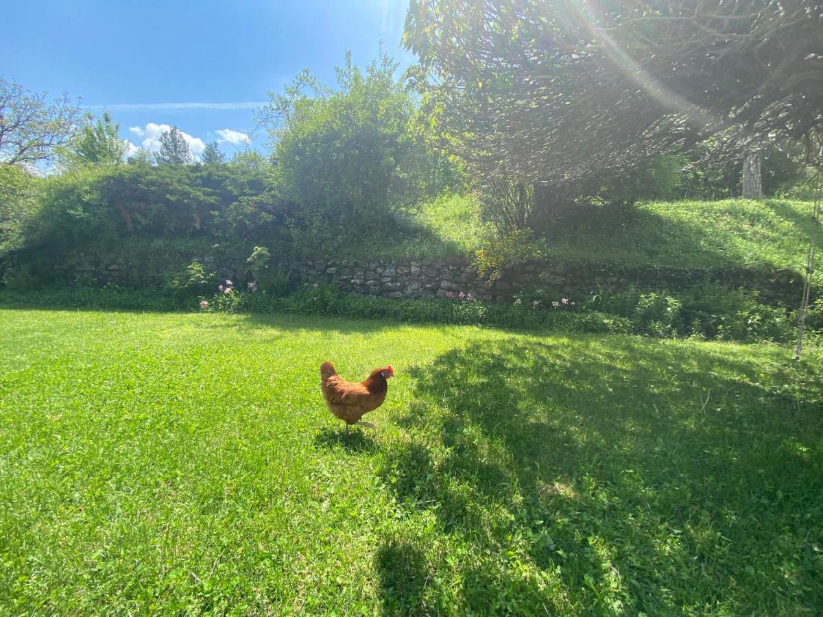 La Genevraie Villa Gap Buitenkant foto